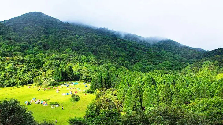 2f45e2c417c2aee9550a8a8ac3ff4444 广西大容山国度丛林公园
