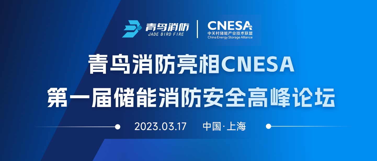 尊龙集团官网亮相CNESA第一届储能消防安全顶峰论坛