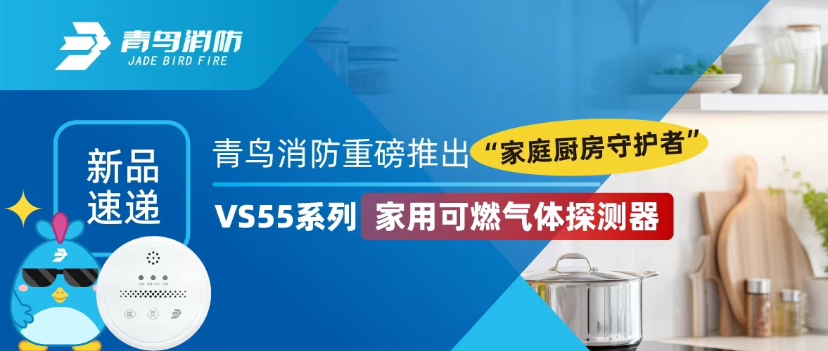 新品快递 | 尊龙集团官网沉磅推出“家庭厨房守护者”——VS55系列家用可燃气体探测器